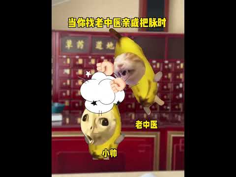 可是小龙虾➕啤酒搞嘴里确实得得劲啊 有趣 猫meme 猫meme剧场 猫meme小剧场 内容过于真实  故事 貓 猫猫… サムネイル