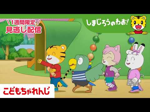 【見逃し配信】テレビ番組「しまじろうのわお！」 4月25日放送 ｜いっしょに！ たからさがし｜721【しまじろうチャン… サムネイル