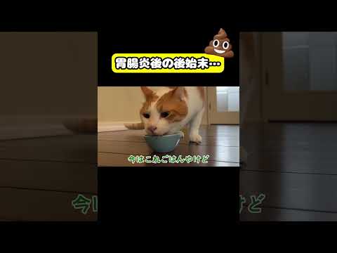胃腸炎後の後始末…猫 おもしろ アテレコ ニャンチューバーつくし サムネイル