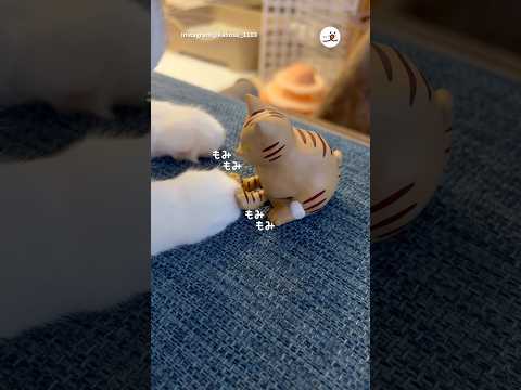 ふみふみする猫、される猫｜PECO