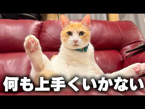 なにやっても上手くいかない