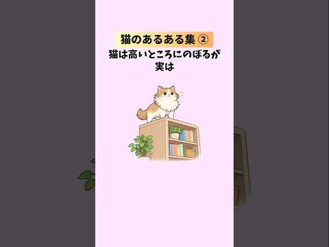 【猫好きしか知らない】猫と飼い主のあるあると雑学集②🐈 猫 猫雑学 豆知識 トリビア 猫 猫雑学 豆知識 トリビア 音… サムネイル