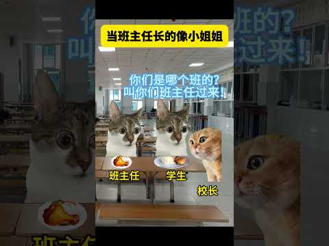 当班主任长的很显小时有趣 猫meme 猫meme剧场 猫meme小剧场 内容过于真实  故事 貓 猫猫meme小剧场… サムネイル