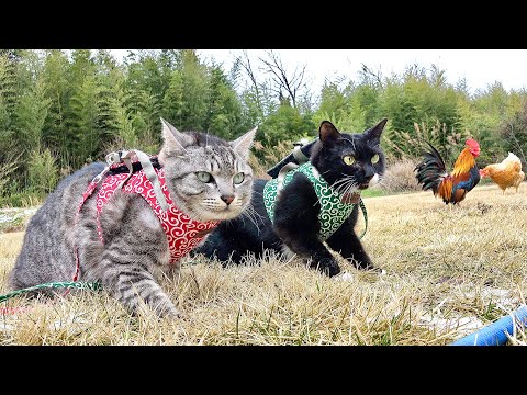 予想外なことが起こった サムネイル