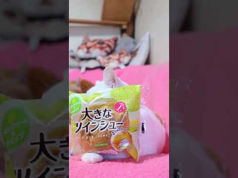 大きなツインシュー　メロンクリーム＆ホイップ　260513　 cat のせ猫 cute　 大きなツインシュー kitt… サムネイル