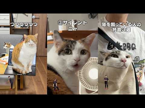 猫飼ってる人にしかワカラナイ７連発 サムネイル