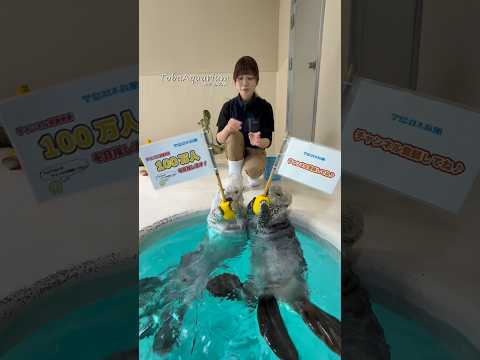 《鳥羽水族館》鳥羽水族館は、YouTubeのチャンネル登録者数100万人を目指します❗️✨　鳥羽水族館 aquariu… サムネイル