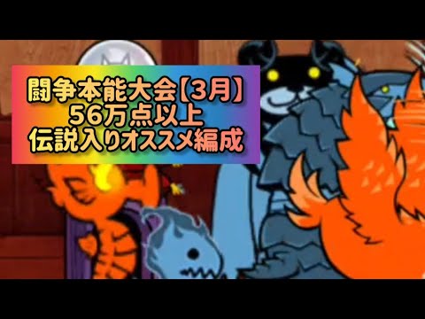 闘争本能大会【３月】 ５６万点以上 伝説入りオススメ編成【にゃんこ大戦争】 サムネイル