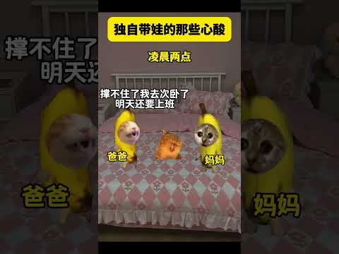 带娃的辛酸 有趣 猫meme 猫meme剧场 猫meme小剧场 内容过于真实  故事 貓 猫猫meme小剧场 喵不可言