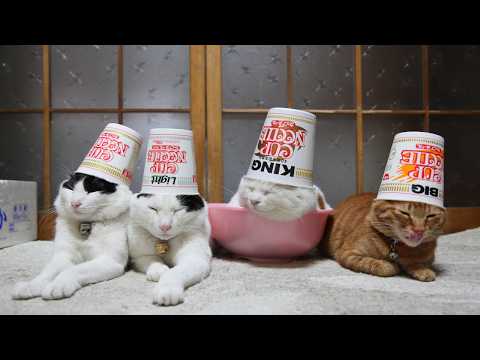 うずまきLIVE配信？　放置？　朝まで？　2026年4月19日 サムネイル