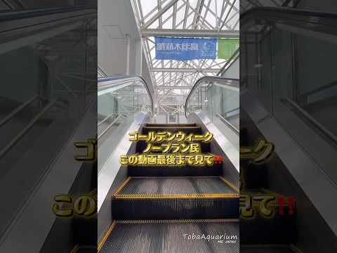 《鳥羽水族館》【MISSION】 鳥羽水族館でGWの思い出を確保せよ。😏🔥📸 鳥羽水族館 tobaaquarium a… サムネイル