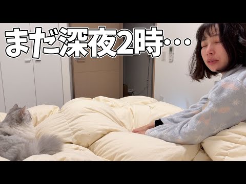 休日でも深夜2時に起こしてくる子猫がこちらです… サムネイル