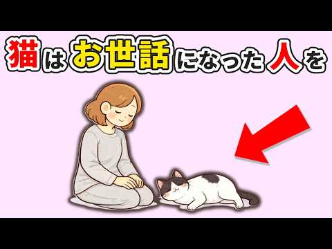 猫を飼っている人が知るべきこと【10選】猫はお世話になった人のことを… 猫 雑学 豆知識 トリビア サムネイル