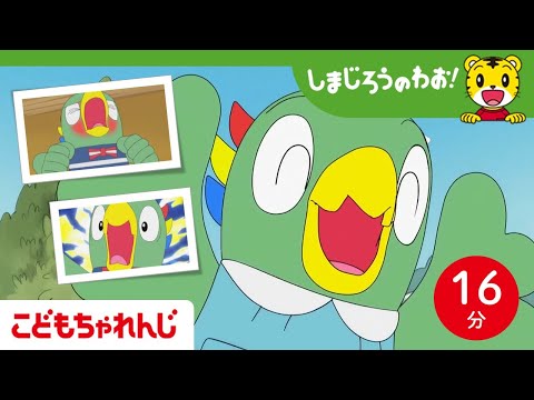 【16分アニメ】とりっぴいの成長記録│友達│家族│仲直り │兄弟 │しまじろうのわお！アニメ│しまじろうチャンネル公式 サムネイル