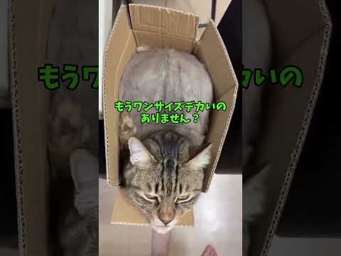 え、私こんな顔してた？ww