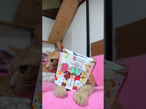 でからあげクン 夢のMIX味 6個入　260608　 cat ローソン cute　 猫 のせ猫 cutecat　 猫の… サムネイル