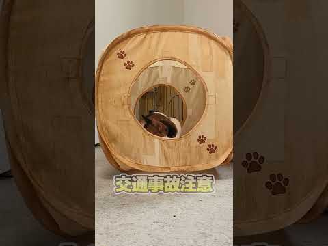 正面衝突