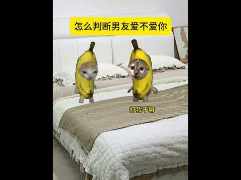 男朋友爱你的表现  有趣 猫meme 猫meme剧场 猫meme小剧场 内容过于真实  故事 貓 猫猫meme小剧场…