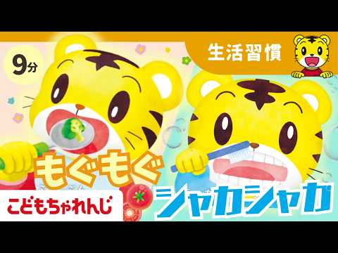 【9分】もぐもぐしゃかしゃか｜うた・ダンス〈こどもちゃれんじぷち〉｜1・2歳向け【しまじろうチャンネル公式】 サムネイル