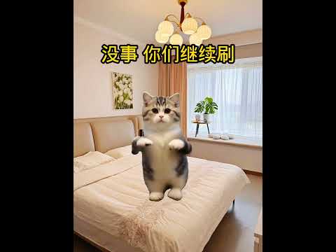 没事，你们继续刷 有趣 猫meme 猫meme剧场 猫meme小剧场 内容过于真实  故事 貓 猫猫meme小剧场 喵… サムネイル