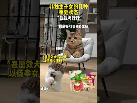 非独生子女的几种相处状态 有趣 猫meme 猫meme剧场 猫meme小剧场 内容过于真实  故事 貓 猫猫meme小… サムネイル