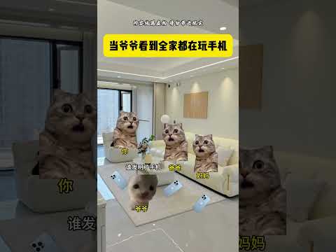 当爷爷看到全家都在玩手机 有趣 猫meme 猫meme剧场 猫meme小剧场 内容过于真实  故事 貓 猫猫meme小… サムネイル