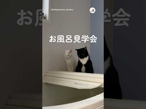 お風呂見学会開催中｜PECO サムネイル