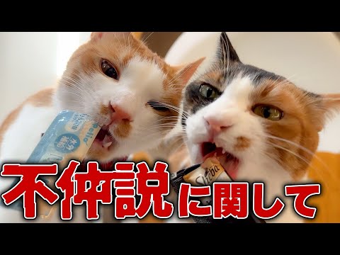 ベルちゃんとチップの不仲説に関して サムネイル