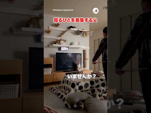誰かお父さんと寝ませんか？｜PECO サムネイル