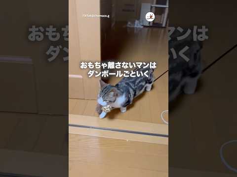 段ボールごと持ってく｜PECO サムネイル