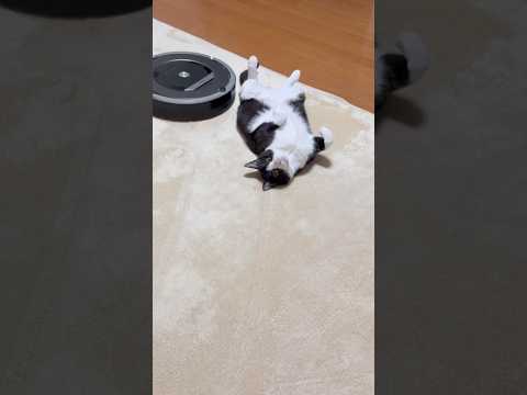 邪魔なのはどっち？ サムネイル