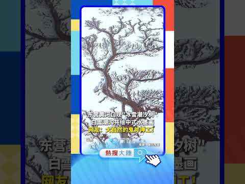 【大陸】大自然神奇「畫布」！山東黃河入海口「長出」潮汐樹 サムネイル