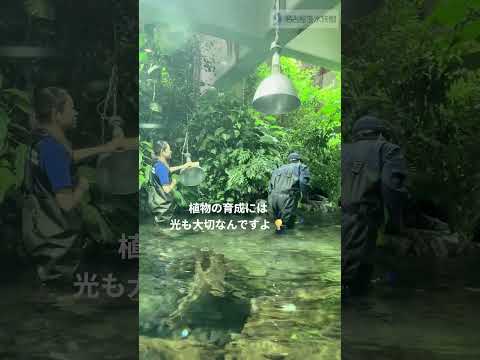 電球交換💡～オーストラリアの水辺～  shots 名古屋港水族館 サムネイル