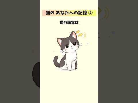 猫が一生忘れない飼い主の記憶【10選②】 猫 雑学 豆知識 トリビア 音声「VOICEVOX：ずんだもん」さん サムネイル