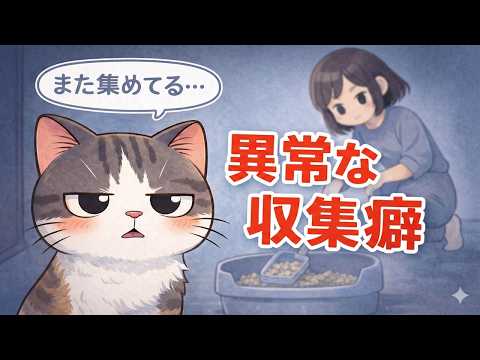 猫から見た人間が愛おしすぎた件【猫目線の人間の雑学】  猫 雑学 豆知識 トリビア サムネイル