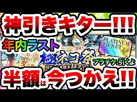 最後の極ネコで神引きキターーー！！！半額使うラストチャンス！プラチケも引くぞ！　にゃんこ大戦争 サムネイル