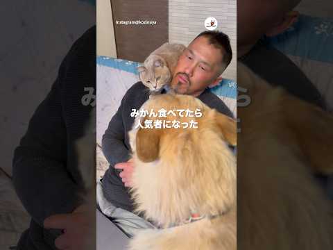 人気者のオヤジさん🍊｜PECO サムネイル