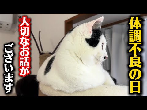 体調が悪く申し訳ございません…大切なお話があります サムネイル