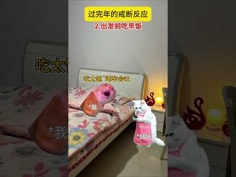 醒醒，快接受年后复工的现实！ 有趣 猫meme 猫meme剧场 猫meme小剧场 内容过于真实  故事 貓 猫猫mem… サムネイル