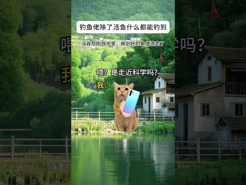 钓鱼佬除了活鱼什么都能钓到有趣 猫meme 猫meme剧场 猫meme小剧场 内容过于真实  故事 貓 猫猫meme小… サムネイル