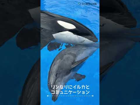 2025リン13歳誕生日 　　shots 　名古屋港水族館 サムネイル