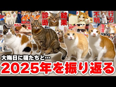 2025年もありがとうございました！ 猫たちと散歩しながら1年の振り返りをしたら思い出が溢れてきました…！！ サムネイル