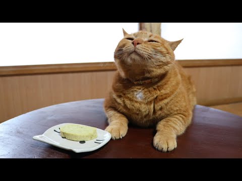 ちゃぶ台の上の豆しとぎ　260116 サムネイル