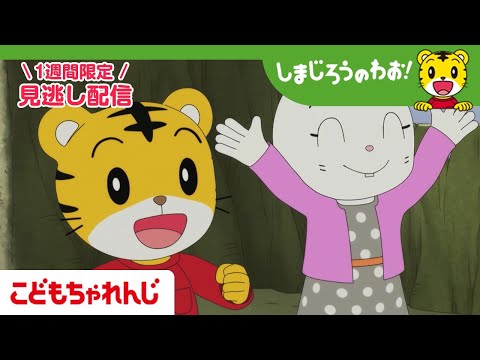 【見逃し配信】テレビ番組「しまじろうのわお！」 12月27日放送 ｜ひみつきちは ピッカピカ！｜705【しまじろうチャ… サムネイル