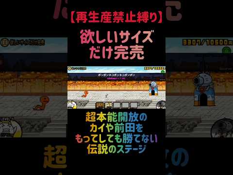 【再生産禁止縛り】カイがいれば欲しいサイズだけ完売を出撃２体のみで攻略出来る説 にゃんこ大戦争 サムネイル