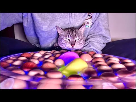 99%が5分で眠くなる😴 |猫×水の音|Deep Relax|Cat Purring & Wooden Balls サムネイル