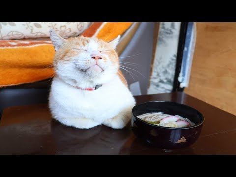 ちゃぶ台の上の年越しそば　251231 サムネイル