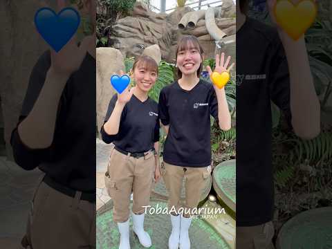 《鳥羽水族館》💙✖️💛を混ぜたら何色になる⁉️ 鳥羽水族館 tobaaquarium グリーンパイソン colormi… サムネイル
