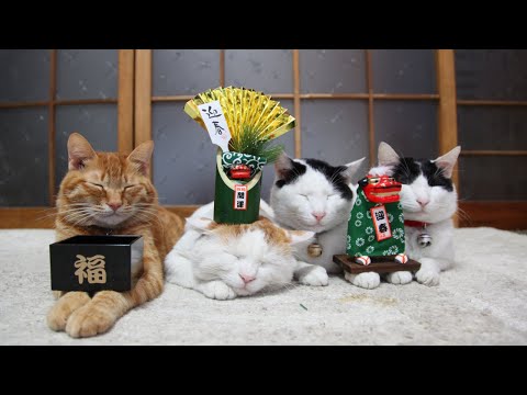 こたつねこ年越しLIVE配信　　2026年12月31日 サムネイル