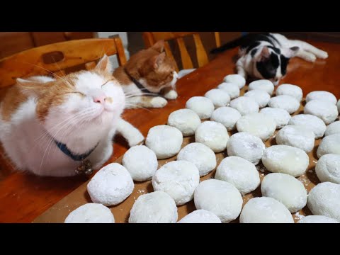 猫たちとこしあん作って大福作り　260130 サムネイル